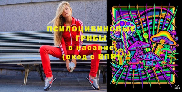 ГАЛЛЮЦИНОГЕННЫЕ ГРИБЫ Баксан