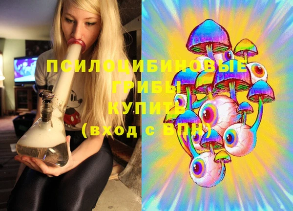 ГАЛЛЮЦИНОГЕННЫЕ ГРИБЫ Баксан