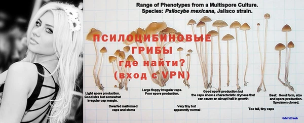 мяу мяу мука Балабаново