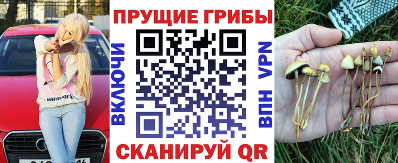 закладка  Пересвет  Псилоцибиновые грибы MAGIC MUSHROOMS 
